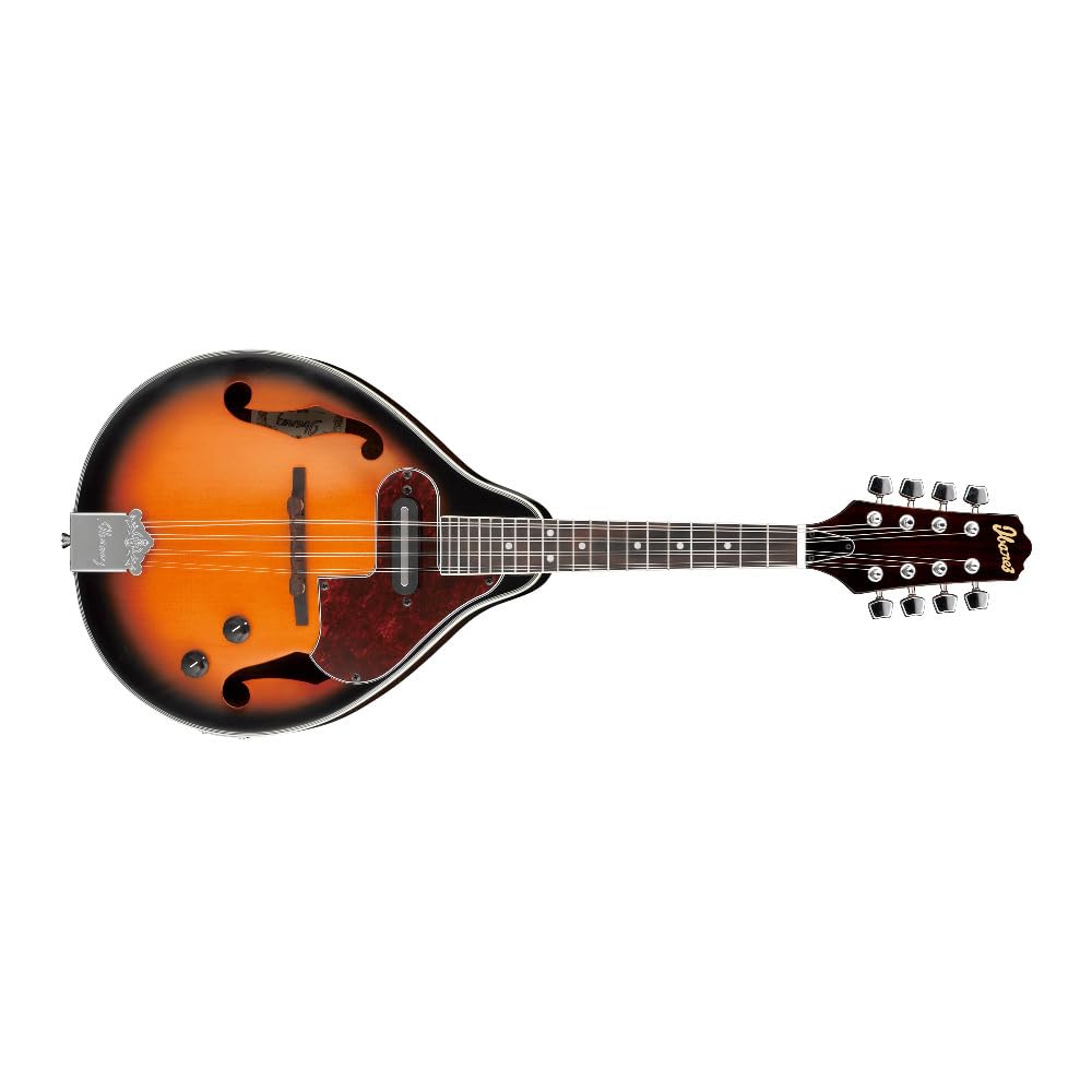 Acoustic-electric Mandolin S362192