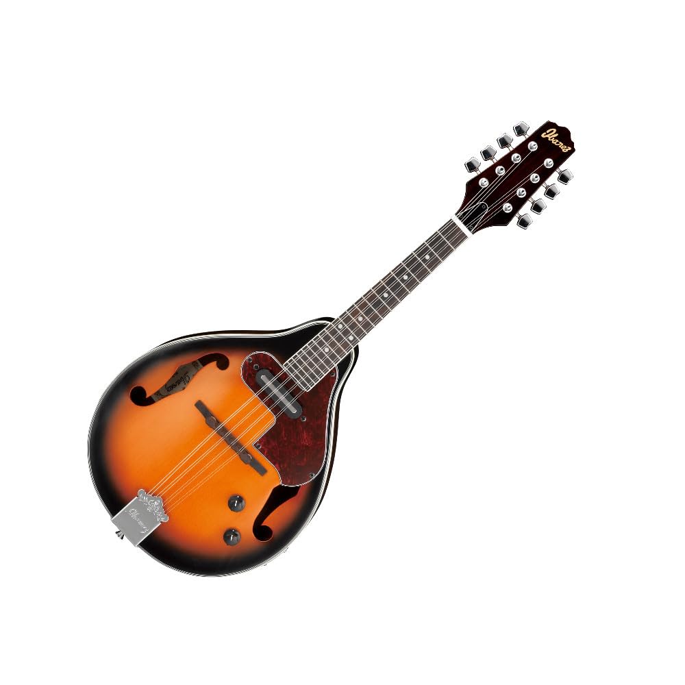 Acoustic-electric Mandolin S362192