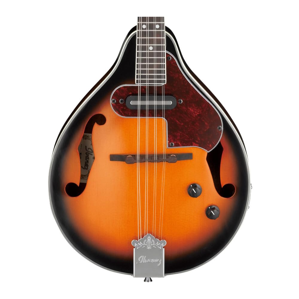 Acoustic-electric Mandolin S362192