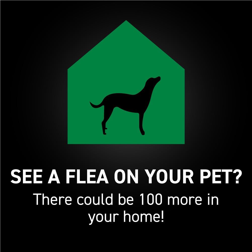 Flea & Tick Topical Dogs Large 1-Month H53240