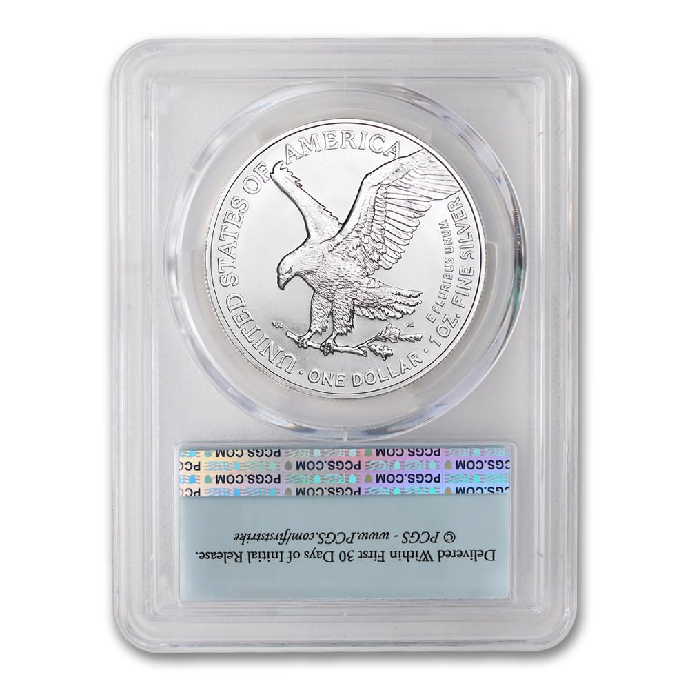 1 oz American Silver Eagle Coin MS-70 U95967