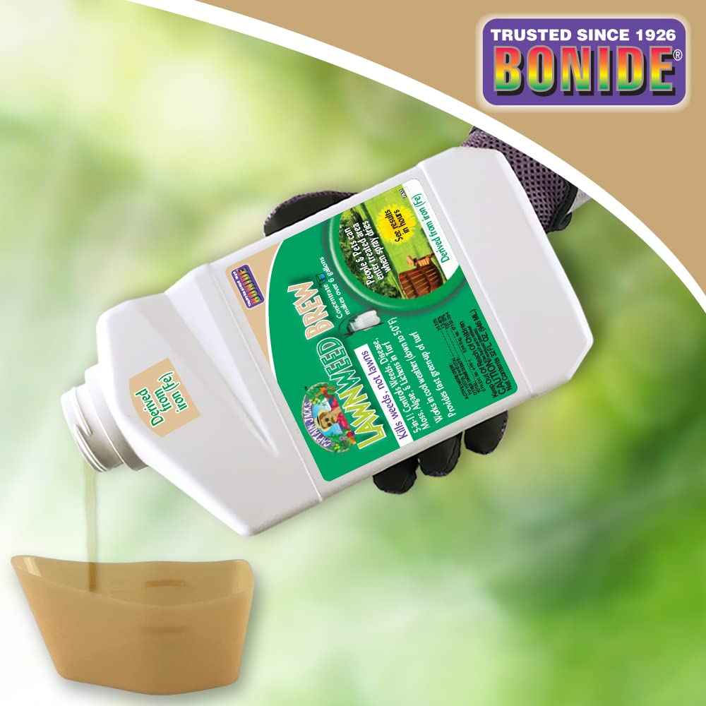 32 oz Concentrate Weed Moss Algae Control D844
