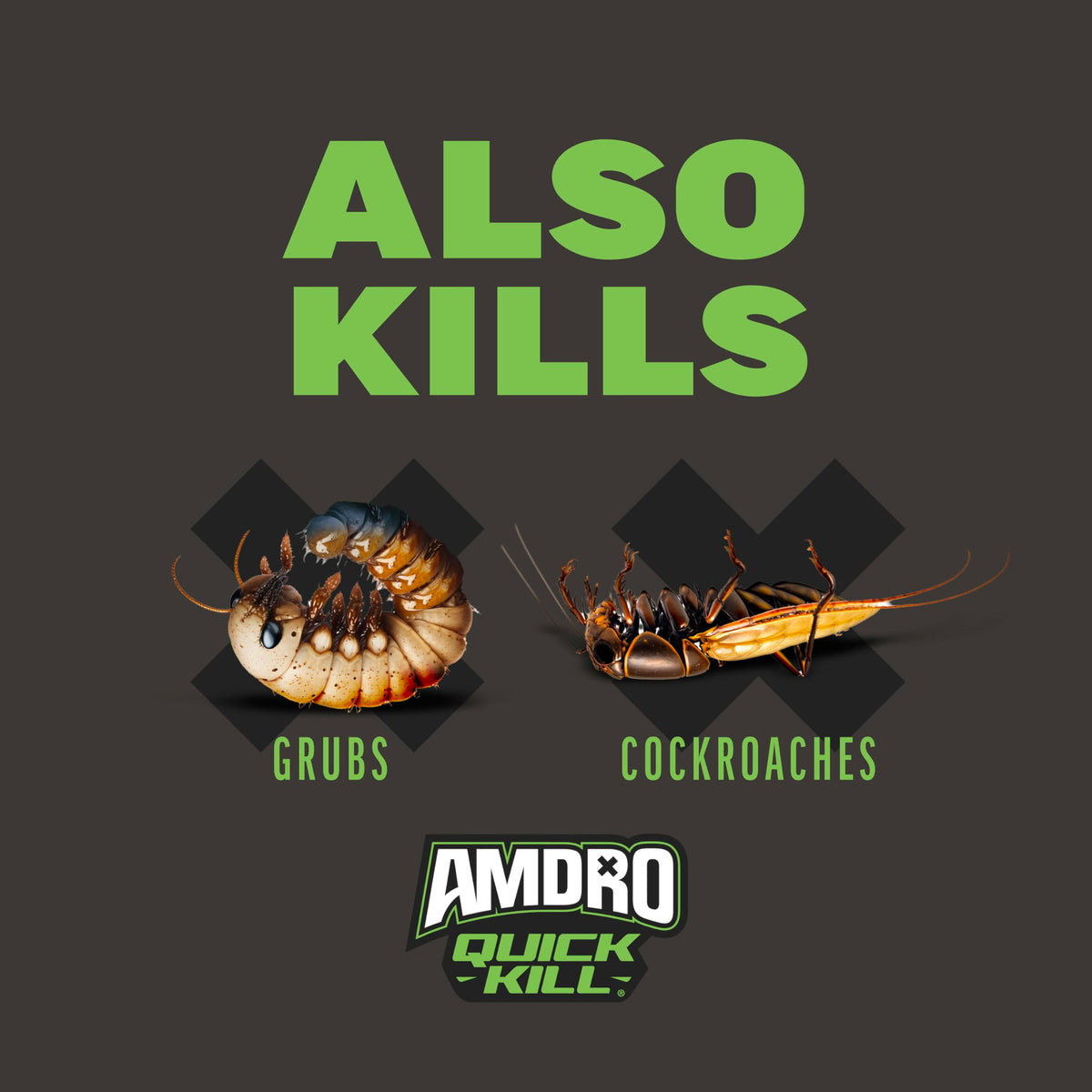 Ant & Spider Killer 3 lb H3232