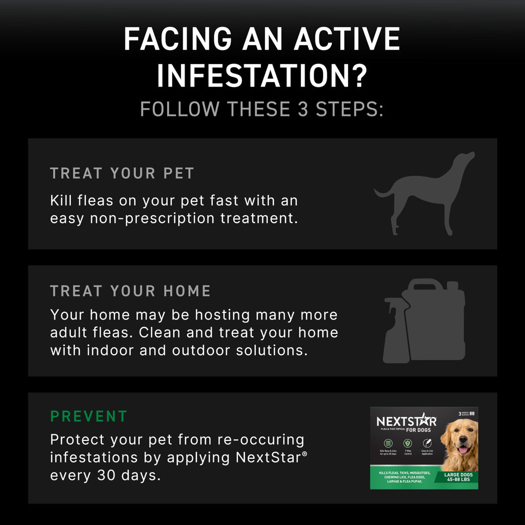 Flea & Tick Topical Dogs Large 1-Month H53240