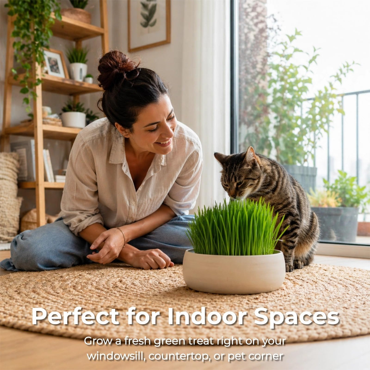 18oz Cat Grass Seeds J19115
