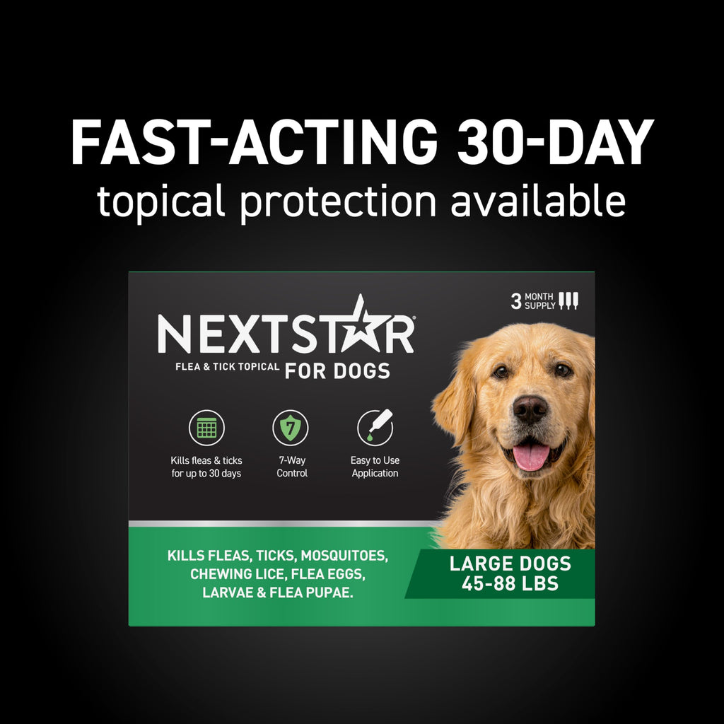 Flea & Tick Topical Dogs Large 1-Month H53240