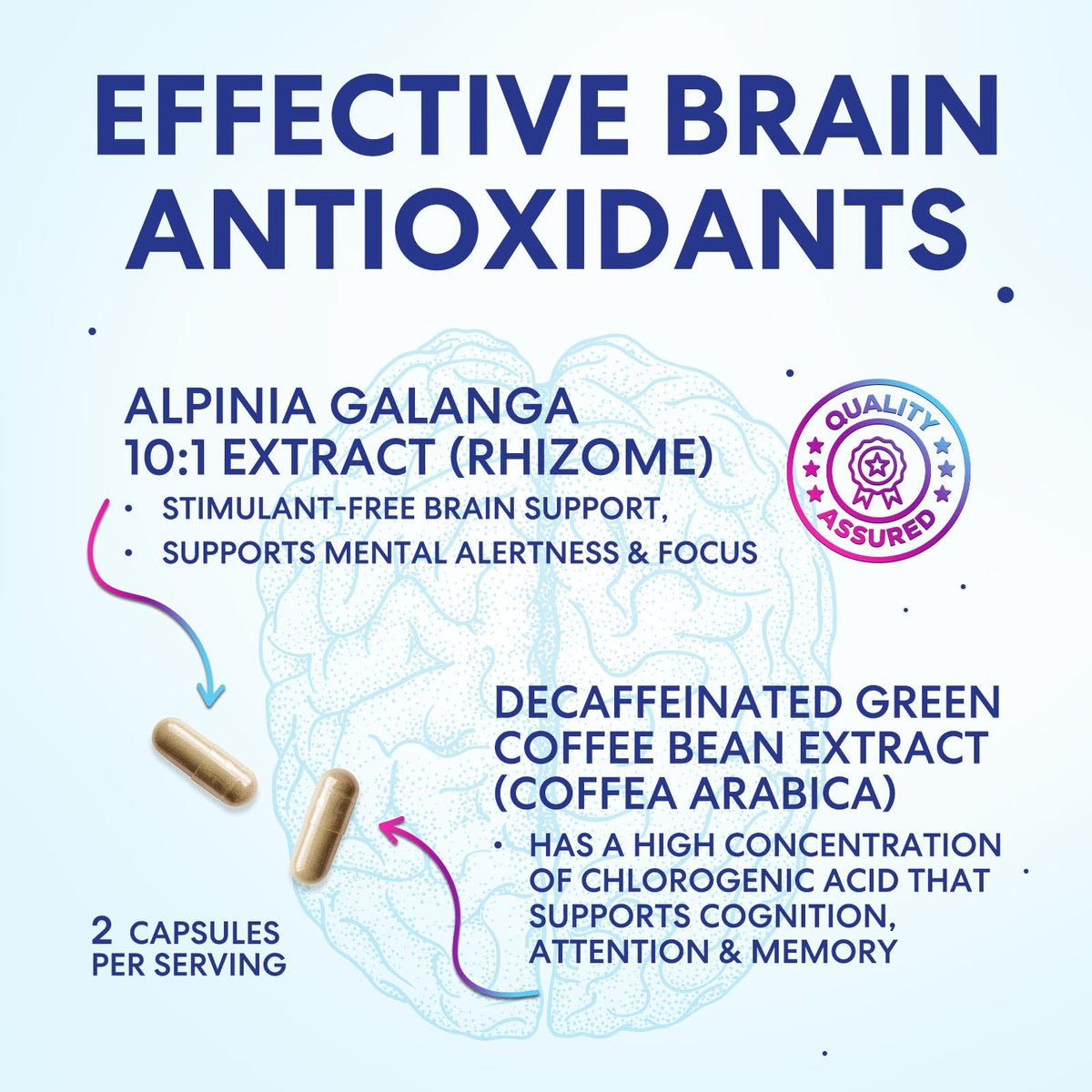 120 Capsules Brain Memory Supplement with Vitamin B6 B12 Folate & Phosphatidylserine W501424