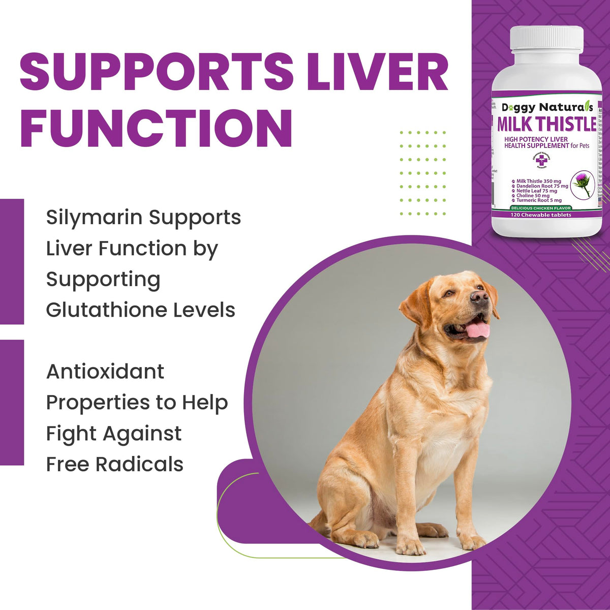 Milk Thistle Liver Health Supplement for Dogs 120 tabs T849668