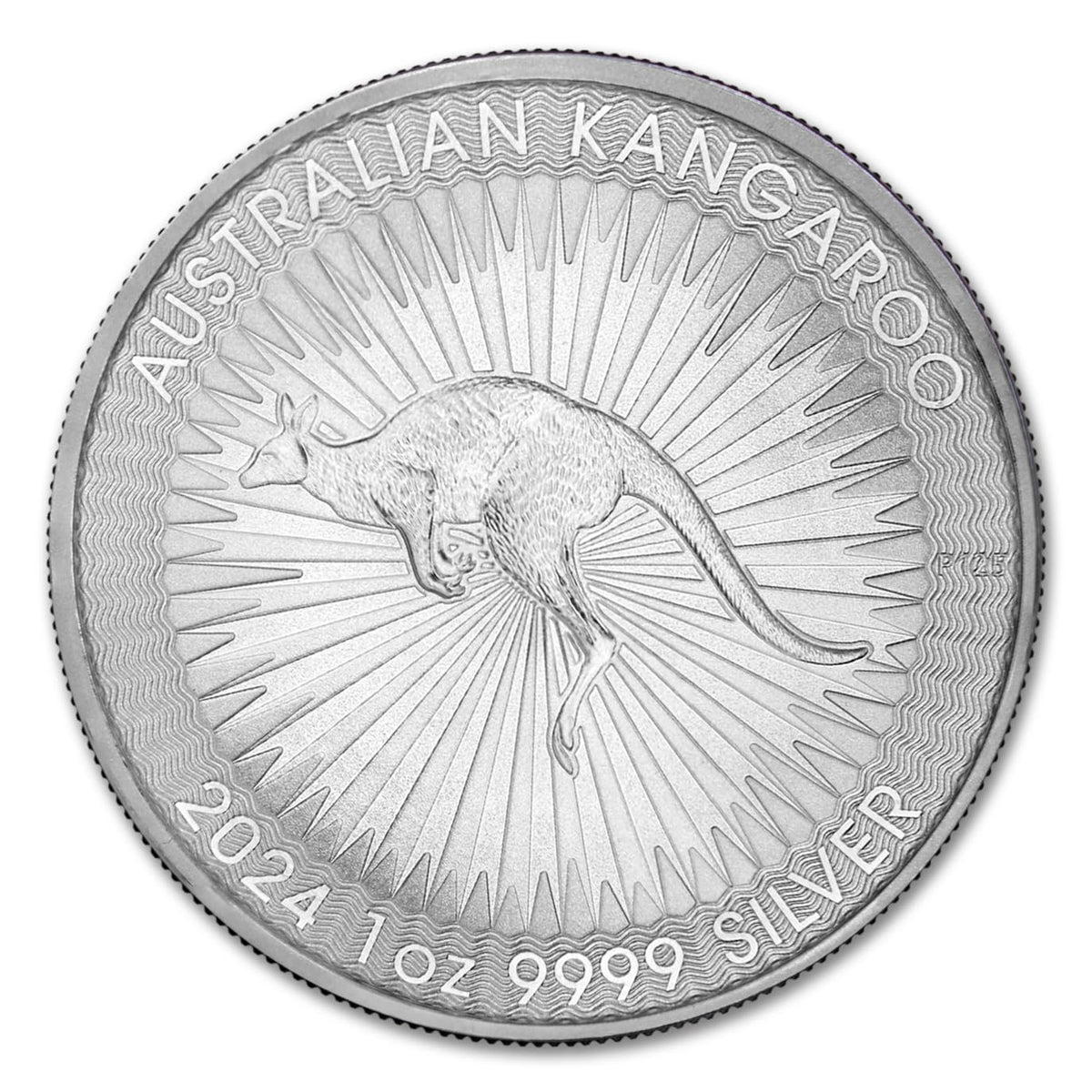 1 oz Australian Silver Kangaroo Coin Y5630