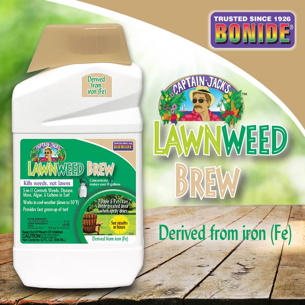 32 oz Concentrate Weed Moss Algae Control D844