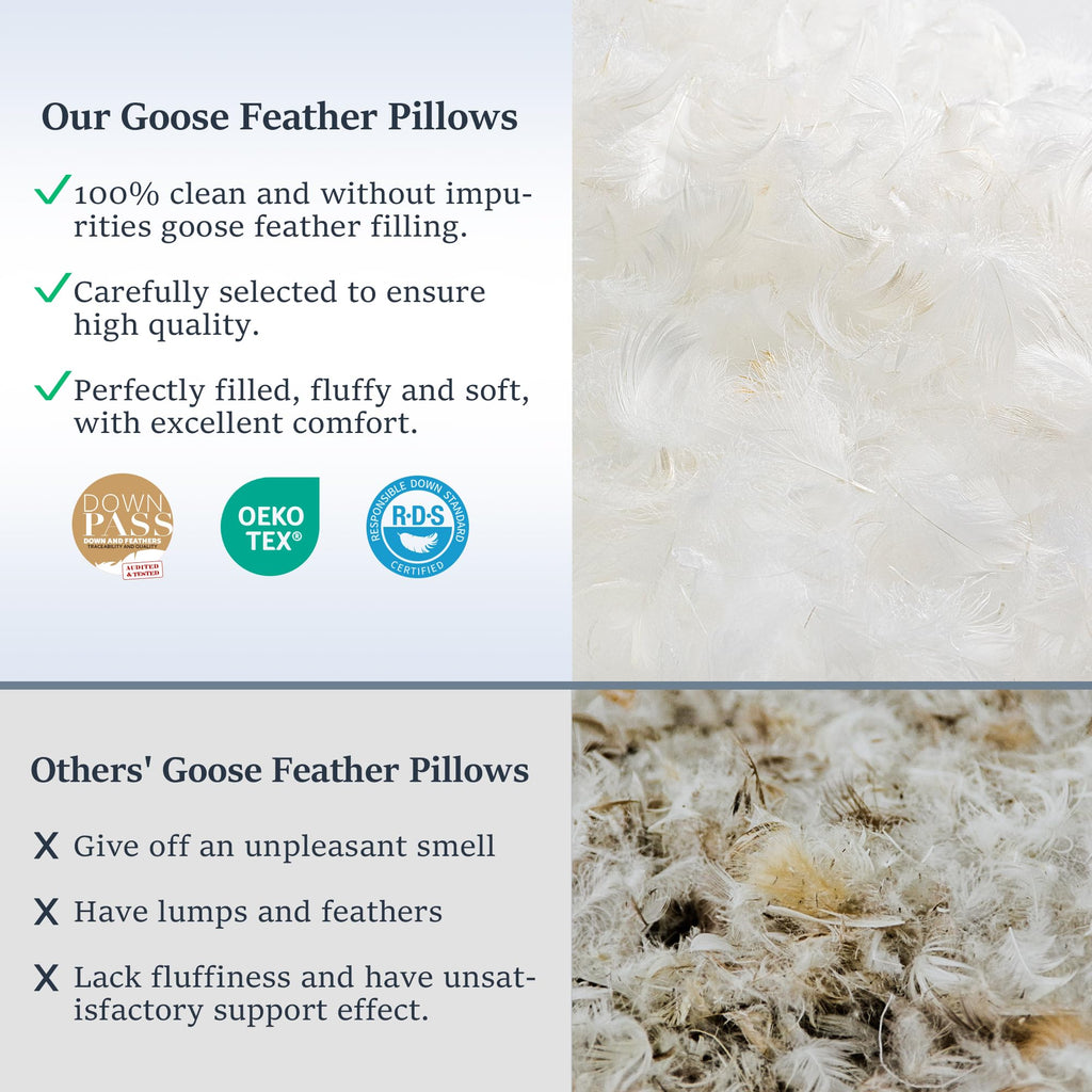 Goose Feather King Size Set of 2 Cotton Pillows Q483262