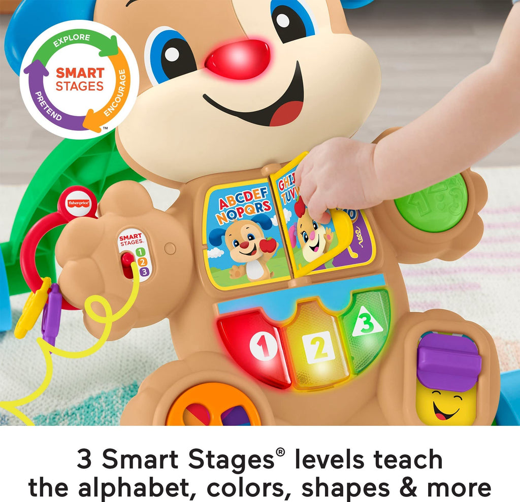 Interactive Puppy Walker T4575