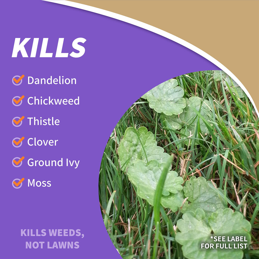 32 oz Concentrate Weed Moss Algae Control D844