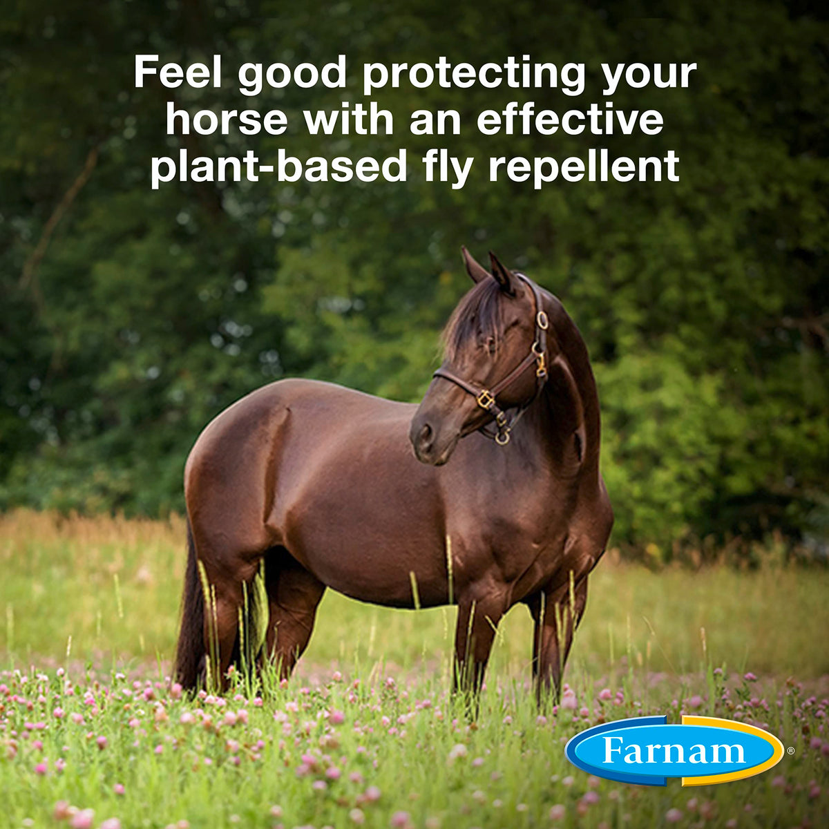 Botanical Fly Repellent 32 Ounces Spray Pack of 2 U629966