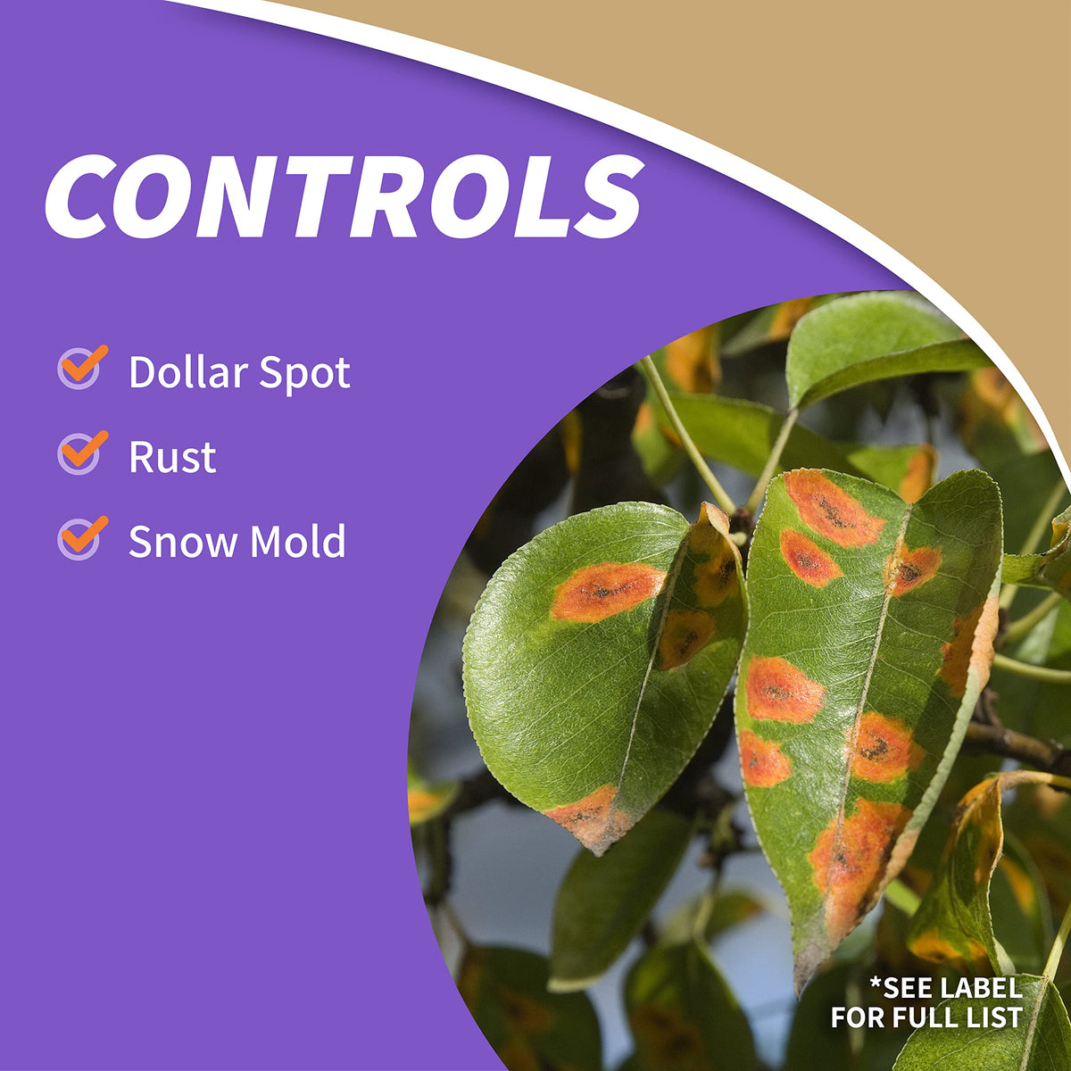 32 oz Concentrate Weed Moss Algae Control D844