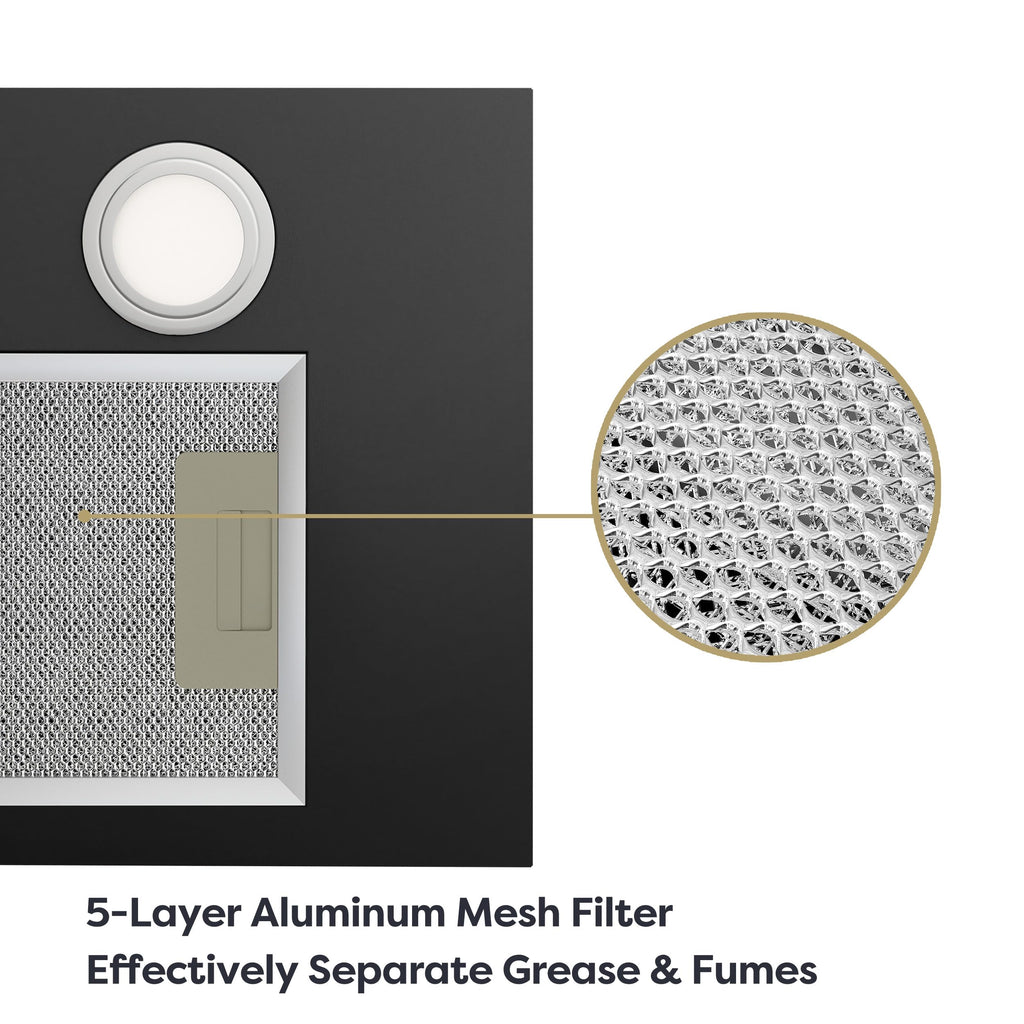 20 inch 650 CFM Black Insert Range Hood D59733