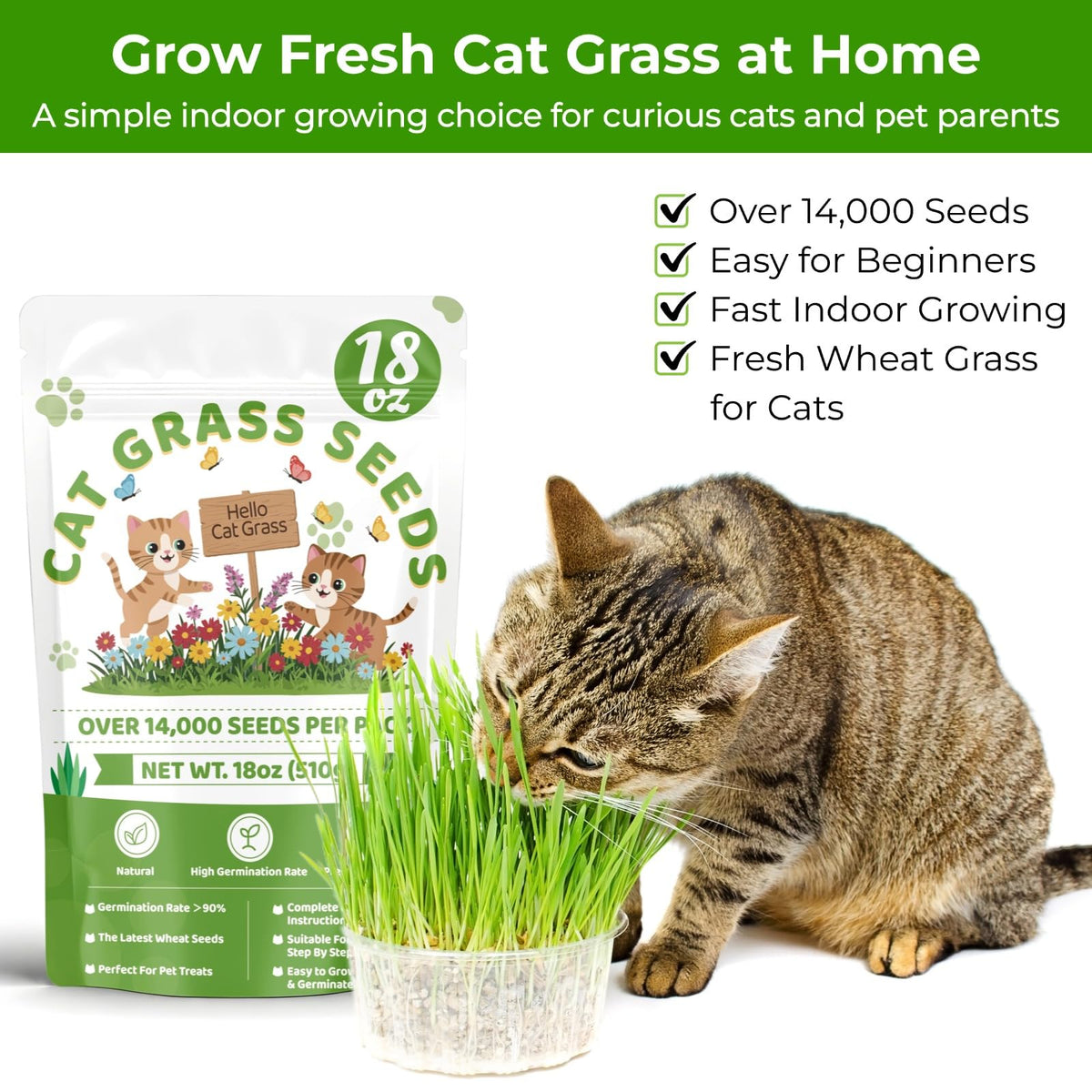 18oz Cat Grass Seeds J19115