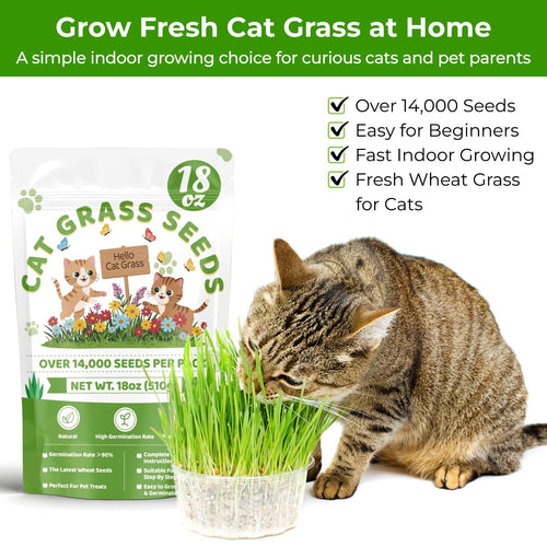18oz Cat Grass Seeds J19115