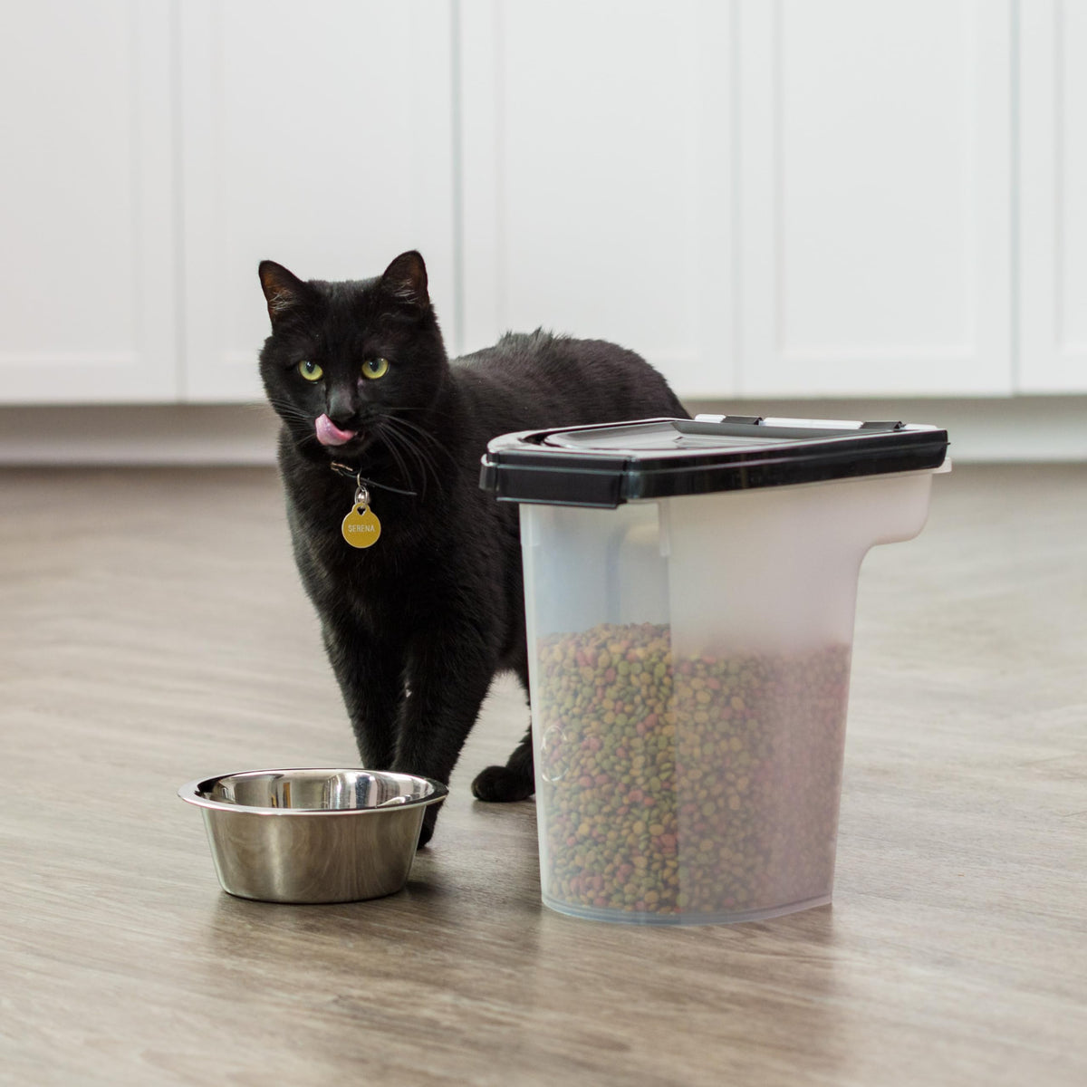 Black Dog Food Storage Container R86590