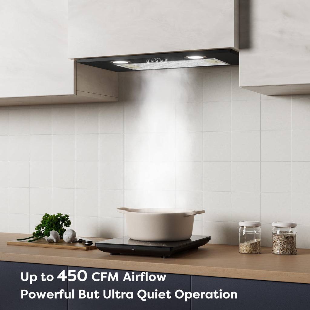 20 inch 650 CFM Black Insert Range Hood D59733