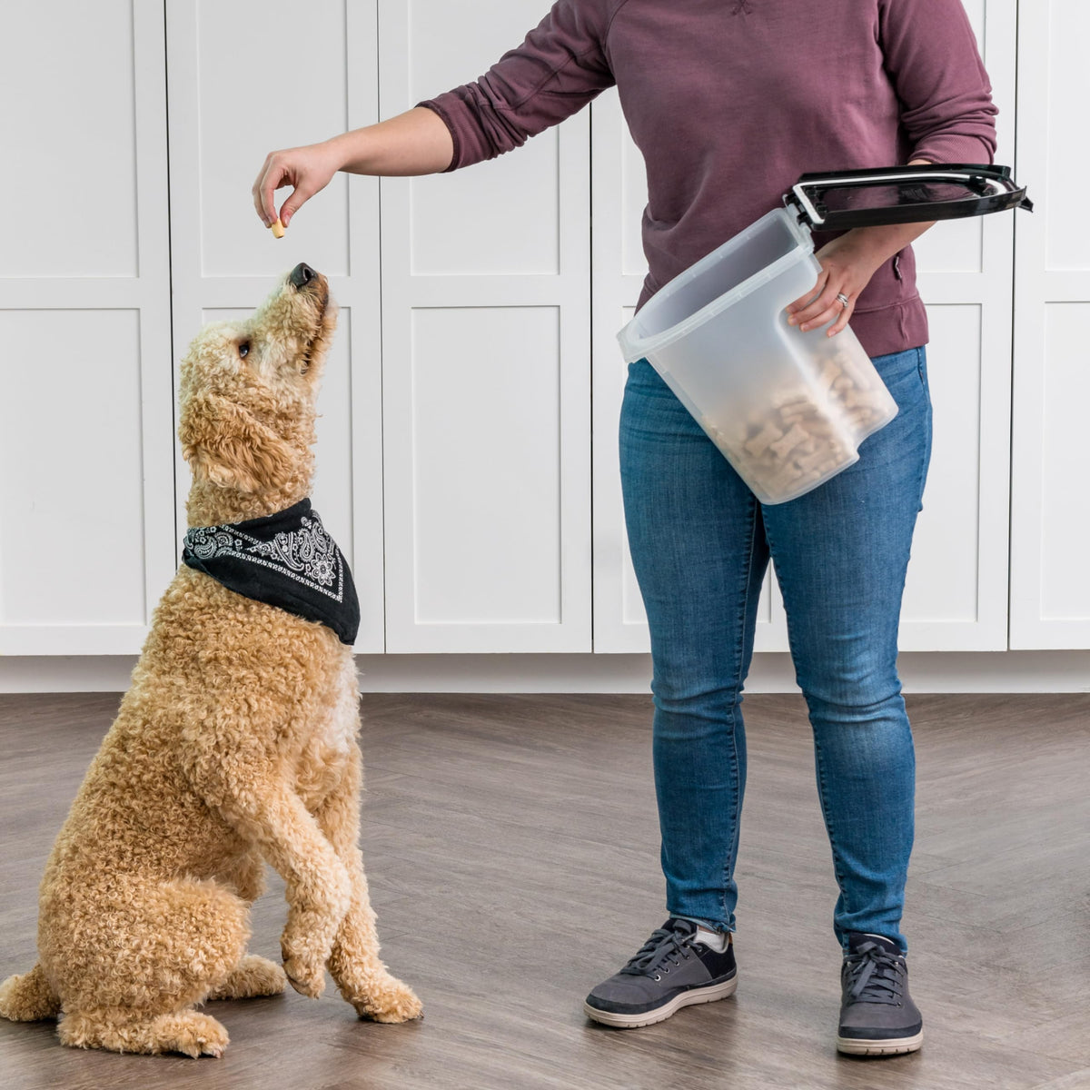 Black Dog Food Storage Container R86590