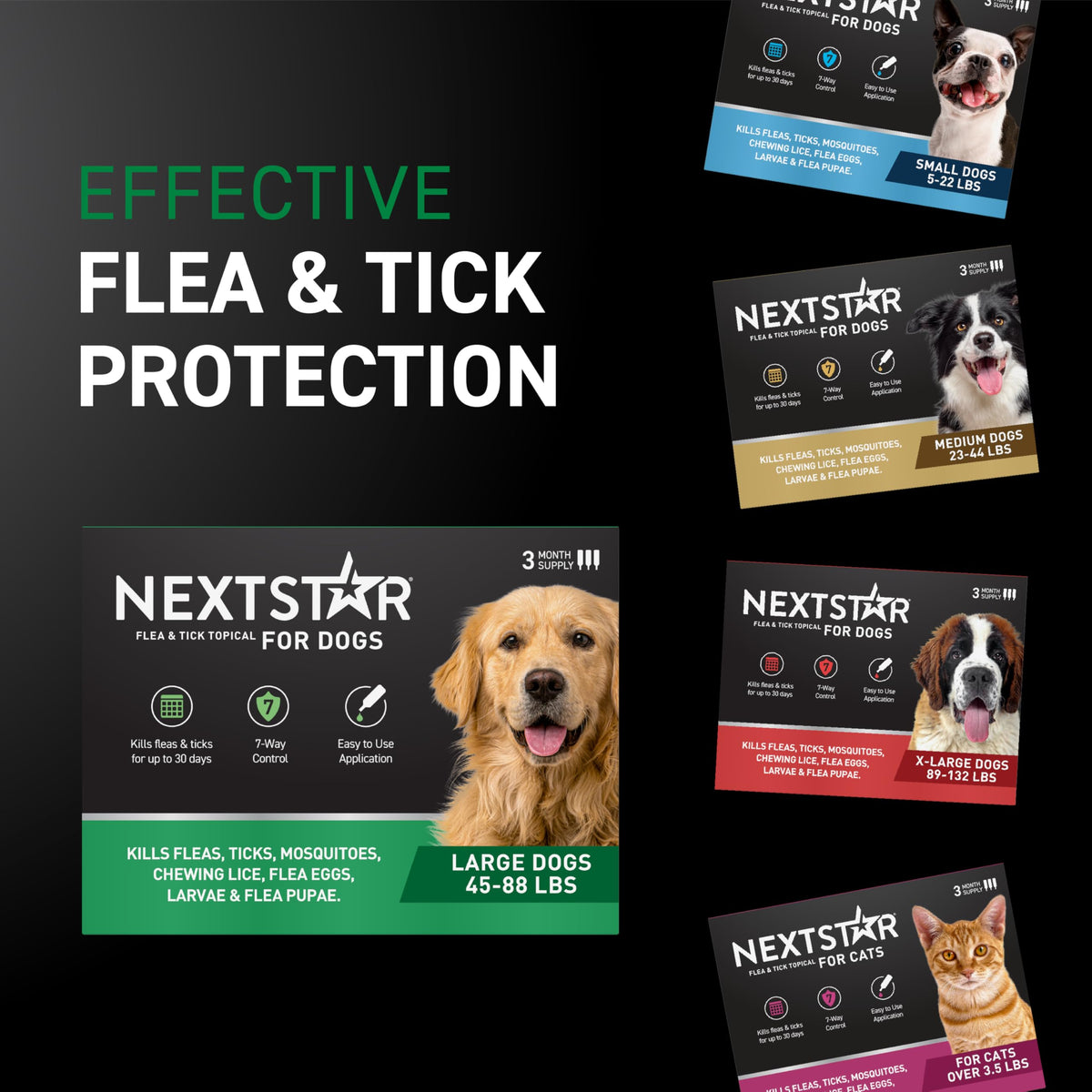 Flea & Tick Topical Dogs Large 1-Month H53240