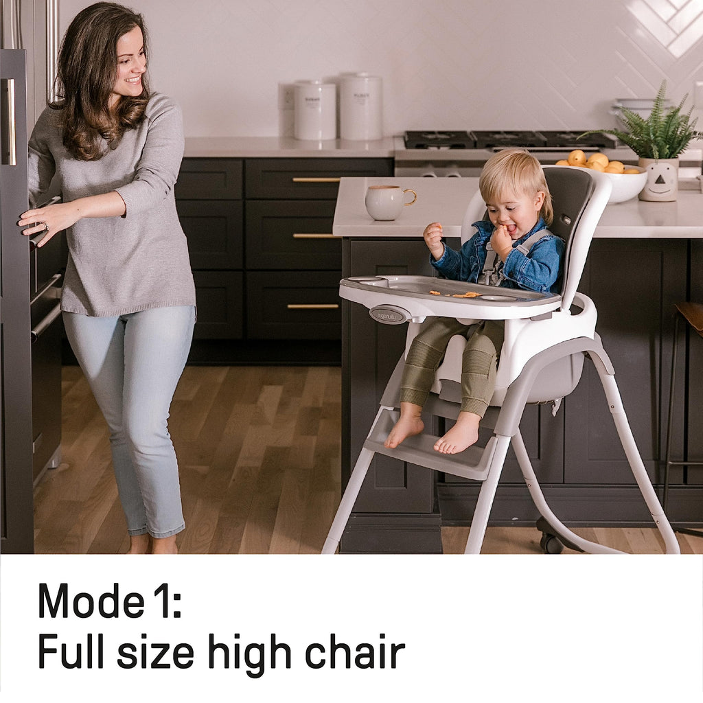 3-in-1 High Chair Convertible to Booster Seat & Toddler Chair E1912