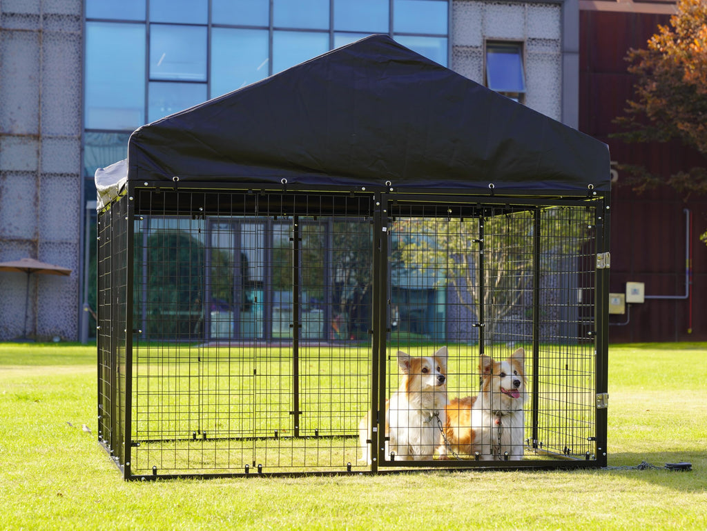 79” x 79” Large Outdoor Dog Enclosure Z9044